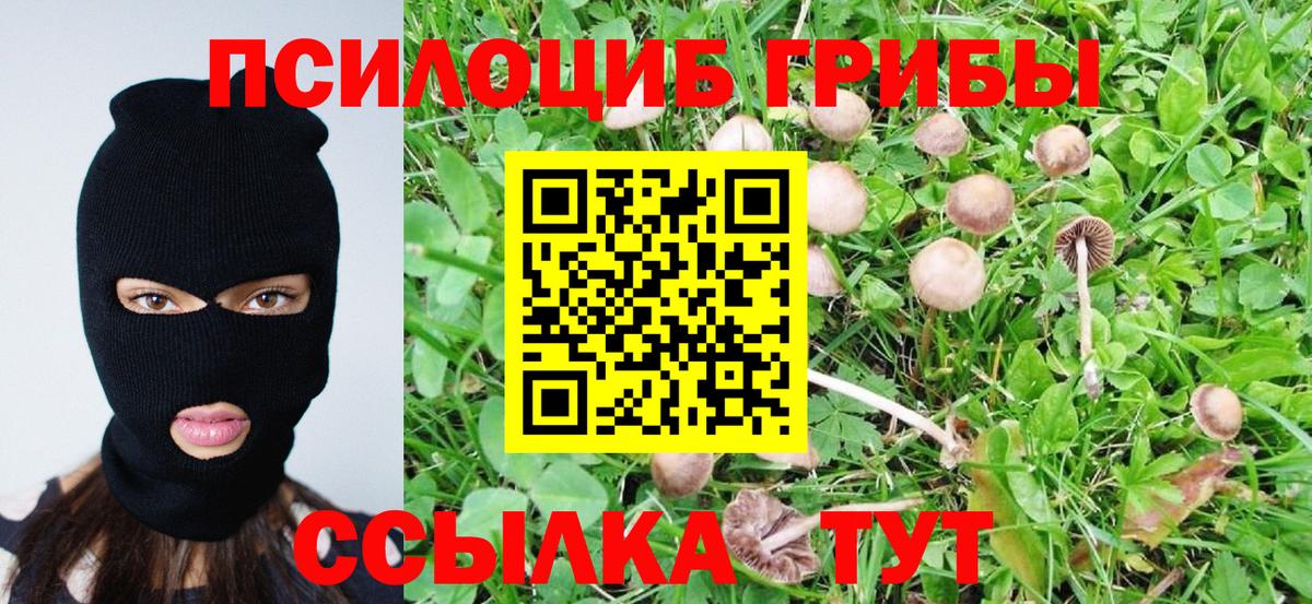 Псилоцибиновые грибы мухоморы Вятские Поляны